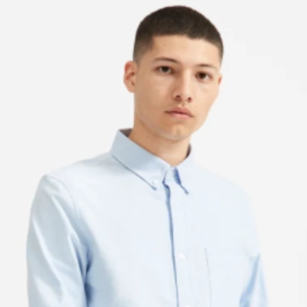 Everlane | The Slim Fit Japanese Oxford Blue | (L) Large | New With Tags